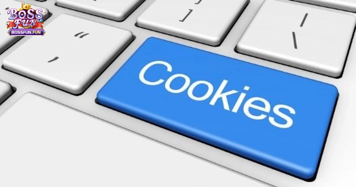Chính Sách Cookie Bossfun Và Những Điều Bạn Nên Biết 2 Mục Đích Sử Dụng Cookie Tại Bossfun Để Cải Thiện Trải Nghiệm Người Dùng